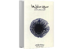 رازهای اجزای سازنده‏ بدن/«سرود سلول‏‌ها» فهم تازه‌‏ای از ساختار بدن ارائه می‏‌دهد