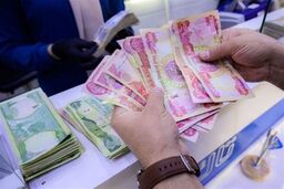 واکنش نماینده مجلس به افزایش قیمت ارز اربعین: بانک مرکزی  مردم را جریمه کرد