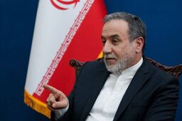 عراقچی: از کمتر از نیمی از ظرفیت کشورهای همسایه استفاده می‌کنیم