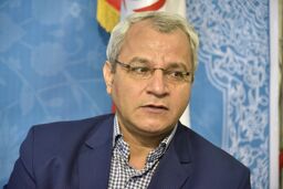 علی همان جواد است؟