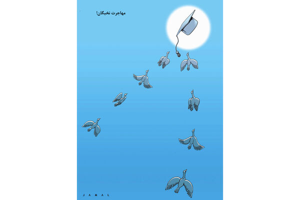 مهاجرت نخبگان