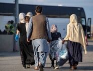 کاهش جمعیت اتباع خارجی به زیر ۵ میلیون نفر