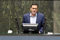 نماینده مجلس: دلیلی برای تصویب CFT در مجمع پیدا نمی‌کنم