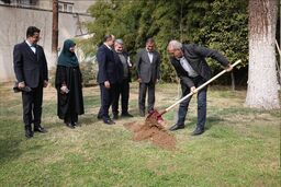 پزشکیان: مردم با مشارکت در کاشت درخت به بهبود محیط زیست کشور کمک کنند
