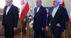 آن روی یک شغل پر مخاطره