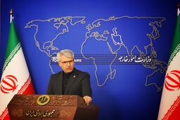 بقائی: حمله آمریکا به پست محیط‌بانی در هرمزگان جنایت جنگی است
