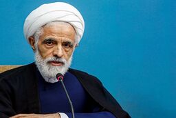 انصاری: جای تأسف است برخی هم‌لباس من به مذاکره‌کنندگان تهمت می‌زنند