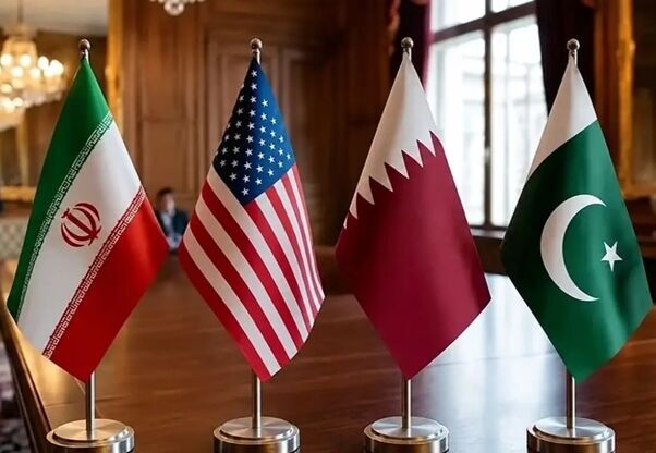 لاک‌پشت!