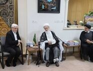 توصیه‌های آیت‌الله بیات زنجانی به محمدرضا عارف: دولت زخم دی‌ماه را ترمیم کند
