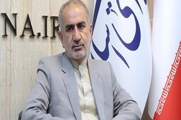 نماینده مجلس: ارزپاشی مشکلی از جامعه حل نمی‌کند