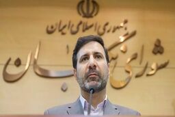 سخنگوی شورای نگهبان: دشمن با دین و دانش ایرانیان دشمنی دارد