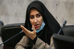 سارا فلاحی: هرجا سرداری به زمین افتاد، مزدور داخلی عامل آن بود