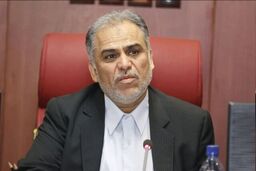 عارف: «رحمت‌الله اکرمی» خزانه‌دار بسیار محکم و استواری است
