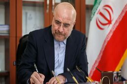 قالیباف: مجلس برای تصویب لوایح دولت در حمایت از خبرنگاران آمادگی دارد