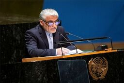 ایروانی: تهران میزبان میلیون‌ها پناهجوی افغان بوده‌؛ بار این مسئولیت سنگین است