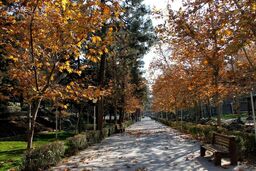 کیفیت هوای تهران «قابل قبول» شد