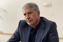 احمد انارکی نماینده مجلس: استفاده مردم از پلتفرم‌های فروش آنلاین طلا باید تسهیل شود
