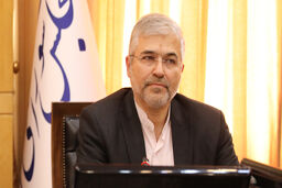 صندوق سرمایه‌گذاری ارزی با سیاست تقویت پول ملی همخوانی ندارد