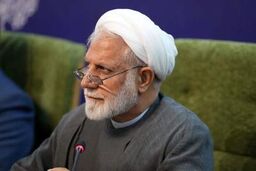 نماینده مجلس: در برابر اسنپ‌بک گزینه‌های مختلفی داریم 
