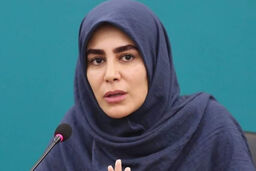 مرد کاردیده یا دورهمی مردانه/درباره هجمه‌های بی‌سابقه علیه معاون هنری وزیر ارشاد