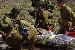 تلفات ارتش اسرائیل در جنگ غزه به ۸۹۹ نفر رسید