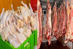 کشتار بیش از ۱۰۴ میلیون قطعه طیور در مازندران

