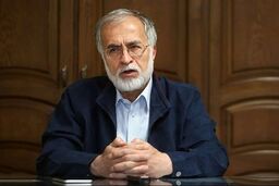 محمد عطریانفر عضو شورای مرکزی حزب کارگزاران سازندگی: نقدهای جبهه پایداری پوشش سیاسی با ادبیات اقتصادی است