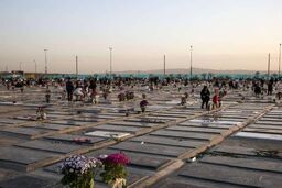 زنده بمانید؛ تهران دیگر برای مردن جا ندارد!