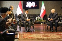 تأکید بر راهبرد مقاومت در دیدار رؤسای مجالس ایران و اندونزی


