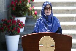 مهاجرانی: زمان معرفی وزیر اقتصاد ارتباطی با روند مذاکرات ندارد/واردات خودروی جانبازان به تصویب دولت رسید