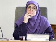 مهاجرانی: رسانه ملی باید به مدار اصلی خود بازگردد