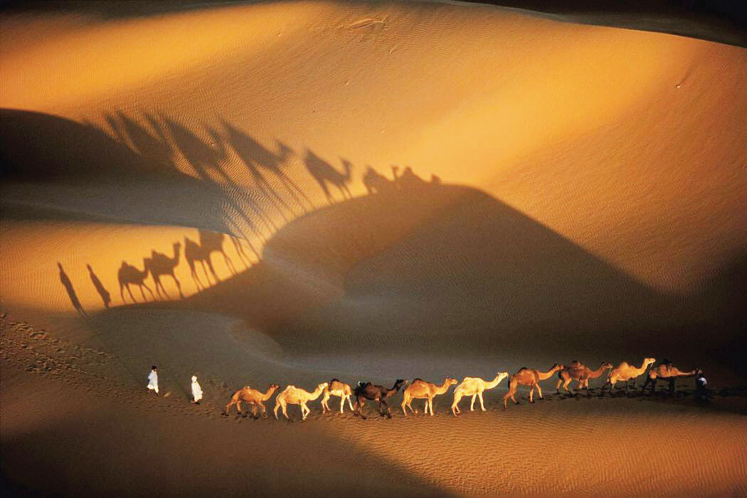ای ساربان آهسته رو/درباره اهمیت تصویر در اشعار سعدی 