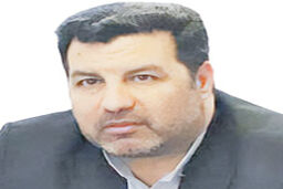 تخلفات فجرانه گزارش شود