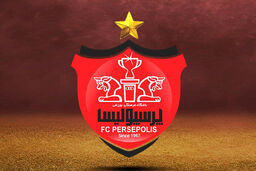 افشاگری عجیب مدیرعامل سابق پرسپولیس علیه بانک شهر