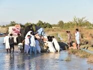 هشدار وقوع سیلاب و طغیان رودخانه‌ها در ۴ استان
