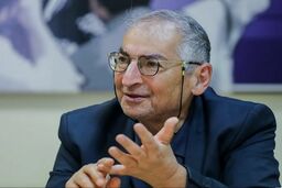 زیباکلام: هنوز دود از کنده طبقه متوسط بلند می‌شود