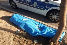 جان‌باختن عابر هنگام عقب‌رفتن در مواجهه با سگ