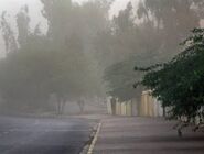 هشدار وزش باد شدید و خیزش گرد و خاک در برخی نقاط کشور
