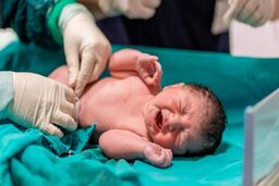 معاون ستاد ملی جمعیت: وضعیت نرخ باروری نگران‌کننده است