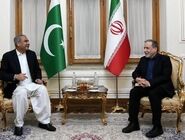 وزیر کشور پاکستان عازم ایران شد