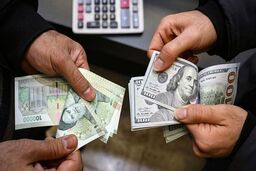 سیاست دولت در حوزه ارز اعلام شد 