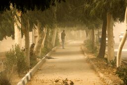 وزش باد شدید و گرد و خاک در راه تهران؛ هشدار زرد هواشناسی برای روزهای آینده