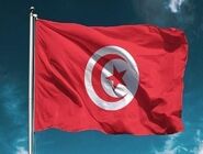 حمایت یک حزب تونسی از ایران اعلام شد

