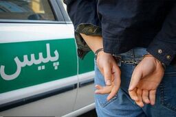 کشف ۹.۷۵ کیلوگرم شیره تریاک در عملیات هوشمند پلیس اردبیل