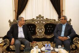 وزیر کشور پاکستان برای زیارت امام رضا(ع) به مشهد سفر کرد  