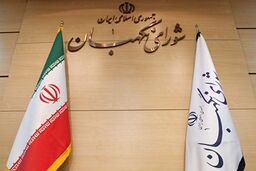 شورای نگهبان لایحه عفاف و حجاب را تایید کرد