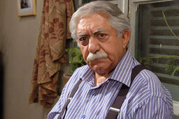 شمایل هنرمندی