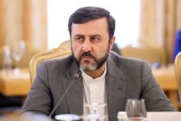 غریب‌آبادی: هسته‌ای بهانه است