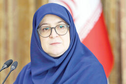 یادداشت سخنگوی دولت درباره فیلم پیرپسر