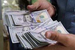 افزایش تخصیص ارز به صنعت و رشد ذخایر ارزی کشور